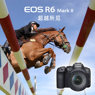 佳能（Canon）EOS R6 Mark II 24-105mm F4 L USM镜头套机  扫街旅拍套装 24-105 USM套机128G进阶套装