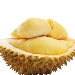 美得乐 液氮金枕榴莲 带壳整个 4.5-5斤(包4房)