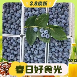 鲜程祥合 特大果 现摘现发 蓝莓 125g/6盒 果径15-18mm