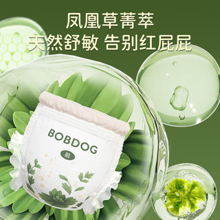 巴布豆（BOBDOG）【老爸抽检】奇迹奢宠纸尿裤花苞凤凰草植萃舒敏婴儿尿不湿秋冬不 【纸尿裤】XXL号40片/箱