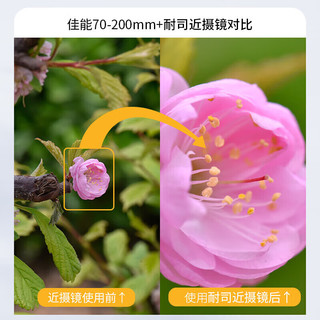 耐司（NiSi）近摄镜二代 77mm 高清放大微距拍摄滤镜专业近拍利器高级微距镜 花草昆虫钻石首饰微拍