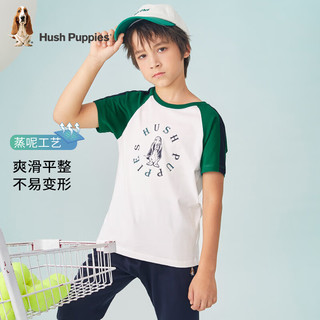 暇步士（Hush Puppies）童装儿童男女童夏季短袖T恤休闲百搭清爽 松叶绿（G款） 150cm