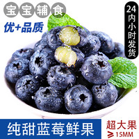 斯可沁 蓝莓15mm+大果4盒 每盒约125g纯甜口感 新鲜水果孕妇宝宝可食用