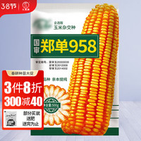 大禹高产玉米种子矮大棒抗旱抗倒郑丹958杂交春季四川 【企选版】958玉米种子 约5600粒