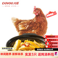 DOYOO 大用 鸡肉生鲜滋补营养炖汤食材 农家散养土鸡整只装五谷喂养年货节 三黄鸡850g