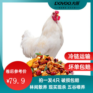 大用 鸡肉生鲜滋补营养炖汤食材 农家散养土鸡整只装五谷喂养 白羽鸡750g