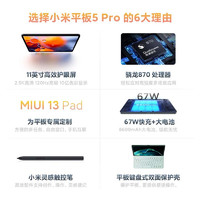 Xiaomi 小米 平板5pro 5G版本 11英寸 2.5K高清 120Hz高刷 骁龙870 8GB+256GB黑游戏办公轻便插卡平板