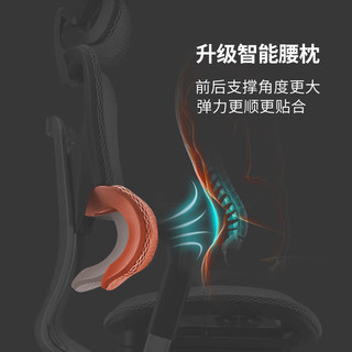 有谱FlyPro人体工学椅子护腰办公椅座椅电脑椅家用舒适久坐人体工程椅 黑框黑网