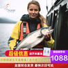 纯尔【源头直发】挪威冰鲜三文鱼整条大西洋鲑5.5kg(11斤以上)/条刺身