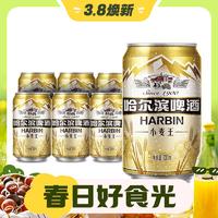 3.8焕新：哈尔滨啤酒 小麦王450ml*15听 装整箱易拉罐罐装官方旗舰店