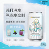 Yocharm 云臣 百香果味苏打汽水 0糖0脂0卡 调酒气泡苏打水 330ml*24罐