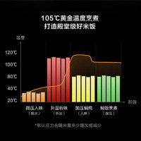 Panasonic 松下 家用电饭煲高压力锅煮饭2倍大气压5升多功能PE402