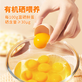 圣迪乐村 富硒鲜鸡蛋30枚年货礼盒 净含量1.5kg