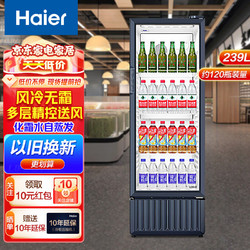 Haier 海尔 立式冰柜家用小型小冷柜冷冻柜