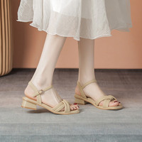 ZHR凉鞋女简约纯色一字带粗跟女鞋摩登方头优雅鞋子女 Y700 杏色 35 