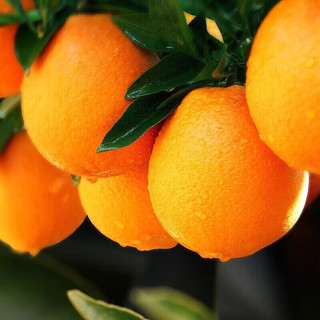 鲜合汇优 赣州脐橙新鲜赣南水果橙子年货物品 10斤整箱60-70mm/净重8.0斤起 好吃的橙