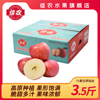 佳农陕西高原苹果脆甜多汁新鲜红富士苹果家庭装水果发货 75mm+ 3.5斤