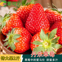 斯可沁辽宁丹东99红颜奶油草莓水果年货节 特大果2斤装 单果30-40g
