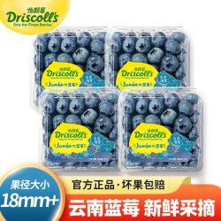 driscollsonlythefinestberries怡颗莓当季云南蓝莓国产蓝莓新鲜水果