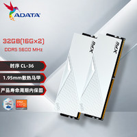 ADATA 威刚 32GB(16GX2)套装 DDR5 5600 台式机内存条 XPG威龙-LANCER (釉白)