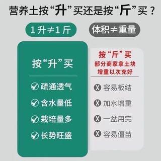 沃年 进口椰砖一块