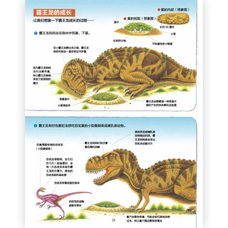 【赠挂件】黑川光广恐龙百科7套 恐龙百科科普绘本 勇敢的三角龙受伤的 浪花朵朵童书
