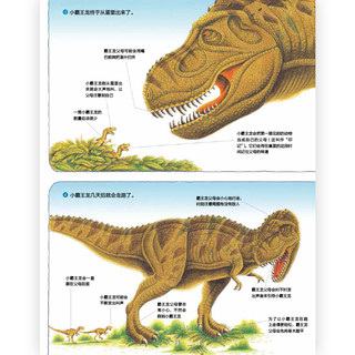 【赠挂件】黑川光广恐龙百科7套 恐龙百科科普绘本 勇敢的三角龙受伤的 浪花朵朵童书