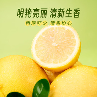 东方甄选 黄柠檬 1.6斤装 酸爽爆汁 800g（约7-9个）