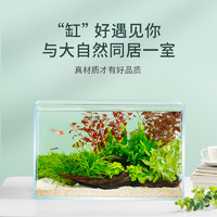 88VIP：yee 意牌 超白鱼缸小型客厅桌面玻璃生态养鱼金鱼乌龟缸造景专用水草缸