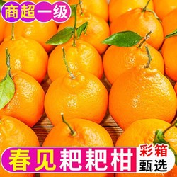 春见耙耙柑净重5斤果径70mm现摘大果新鲜水果丑粑粑橘桔子彩箱