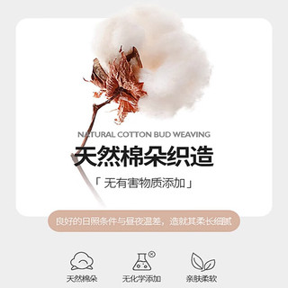 南极人小碎花全棉床上四件套纯棉加厚裸睡被套家用床单套件宿舍单人床品 碧春【精梳全棉 亲肤裸睡】 1.8M床笠四件套【被套200*230】