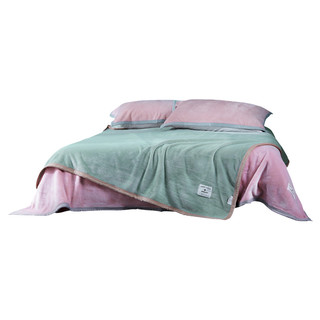 毛毯被子加厚冬季珊瑚绒毯子床上用沙发盖毯午睡法兰绒床单加绒毯
