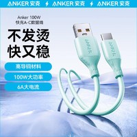 Anker 安克 type-c数据线100w 1米