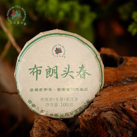 六大茶山 2023年布朗头春勐海茶区原料云南普洱茶普洱茶生茶100g