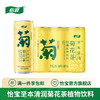 C'estbon 怡宝 菊花茶 310ml*6瓶