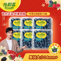 Driscoll's Only the Finest Berries 怡颗莓 当季云南蓝莓 125g*6盒