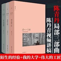 【】局部陈丹青三部曲 陌生的经验+伟大的工匠+我的大学 全套3册 理想国 北京日报 