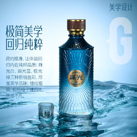 泸州老窖 新轻奢高光酒G2 40.9度500ml