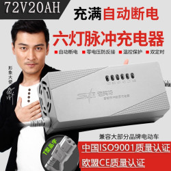 电动车电瓶车充电器 适用于雅迪爱玛新日台铃铅酸 铅酸电池72v20a h