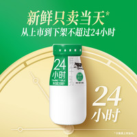 华西 24小时瓶装鲜牛奶190ml*14瓶