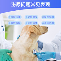 G-PET 宠儿香 犬猫尿石净内服通用尿路感染尿道结石猫咪狗狗专用
