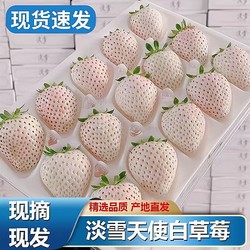花音谷 淡雪草莓 250g 一盒15-20颗 顺丰空运
