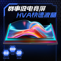 HKC 惠科 24.5英寸电竞显示器VG253KM