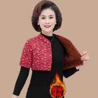 晋影2024秋冬驼绒棉马甲女中年保暖护肩半袖外穿背心加绒坎肩ZQS 【加绒款】花色7 XL(105斤以下)