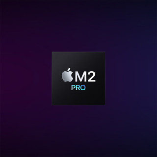 Apple/苹果2023款Mac mini迷你主机 M2 Pro（12+19核）16G 8TB  台式电脑主机Z17000068