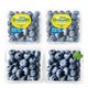 柚萝 L25品种 全甜蓝莓125g/2盒 特大果 果径15-18mm