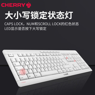 CHERRY 樱桃 STREAM 无线键盘 安静低噪静音键盘 办公键盘 台式笔记本通用剪刀脚结构 STREAM | 剪刀脚结构键盘 | 白色 无光 无线键盘 樱桃