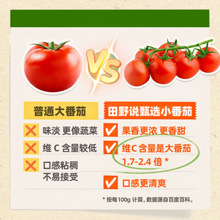 田野说 100% 小番茄汁NFC果汁西红柿汁番茄红素鲜榨蔬菜汁纯果蔬汁饮料 248mL 10盒 1箱