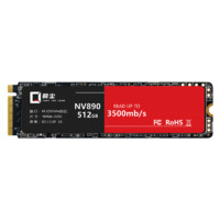 骑尘 NV890 M.2 NVMe 固态硬盘 256GB（PCIe3.0X4）