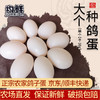均鲜新鲜鸽子蛋杂粮喂养农家特产白鸽蛋信鸽蛋宝宝儿童土鸽子蛋 30枚精选大个种鸽蛋